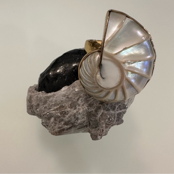 Charles Albert | Unique Shell Ring | Adjustable Size - Picture 6 of 16